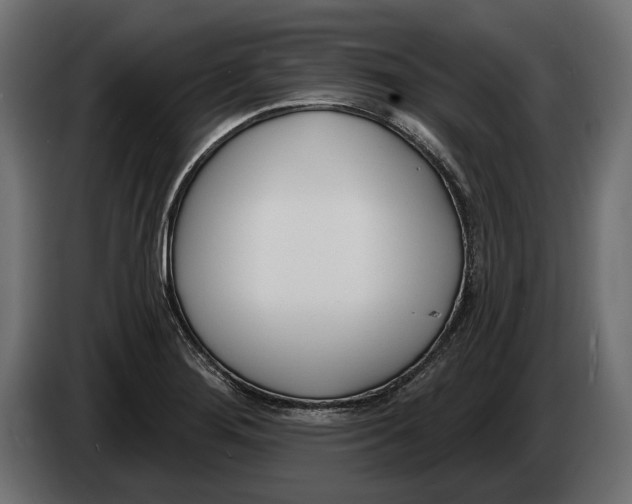 X0000083531276200703021542