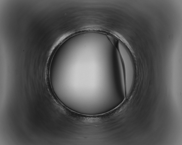 X0000083531277200703021542