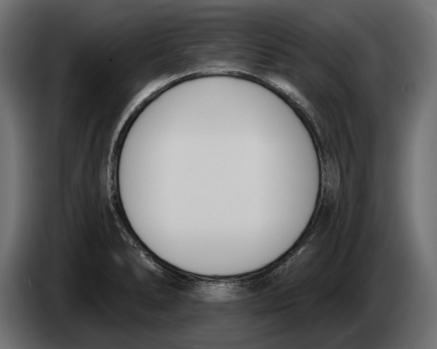 X0000083531278200703021542