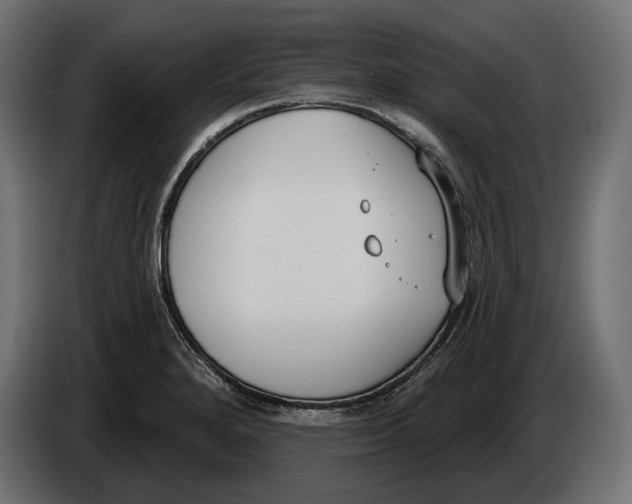 X0000083531280200703021542