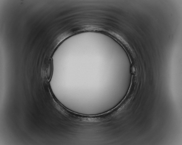 X0000083531281200703021542