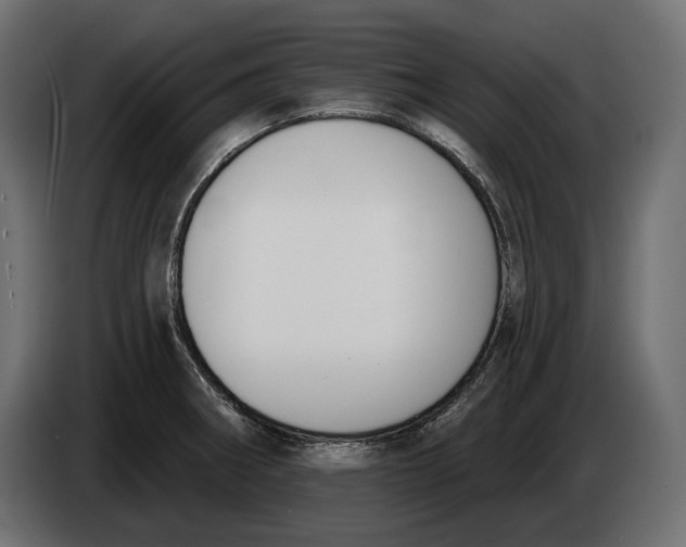 X0000083531282200703021542