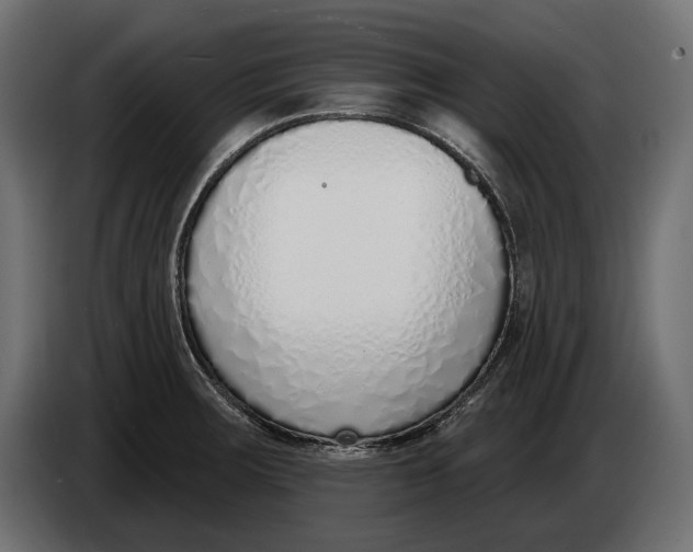 X0000083531283200703021542