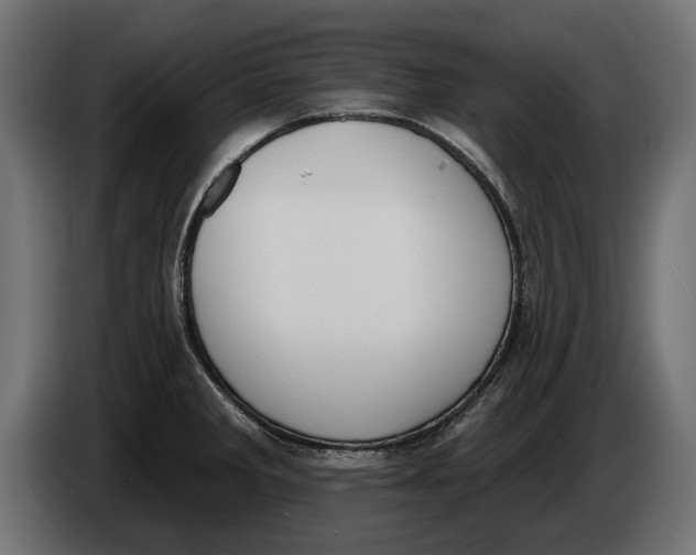 X0000083531285200703021542