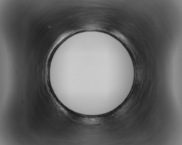 X0000083531286200703021542