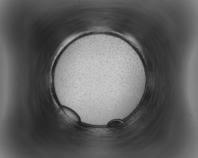 X0000083531287200703021542