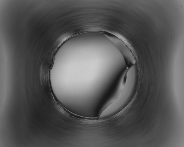 X0000083531289200703021542