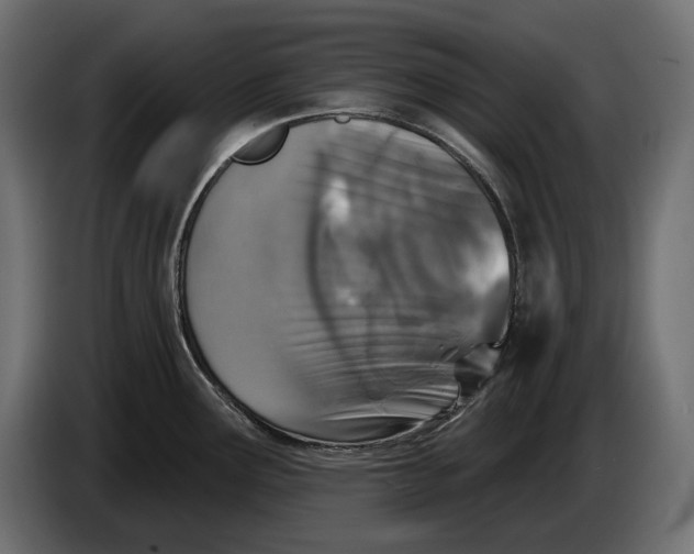 X0000083531291200703021542