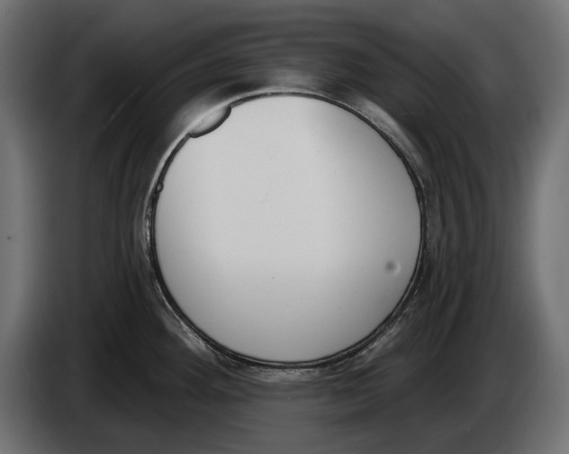 X0000083531292200703021542