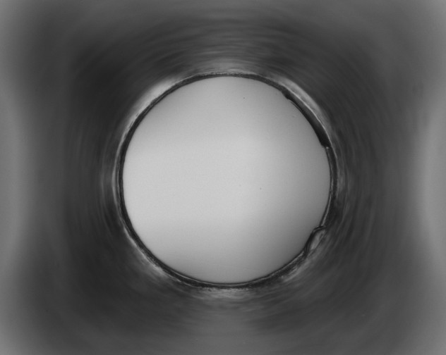 X0000083531293200703021542