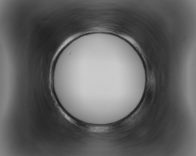 X0000083531294200703021542