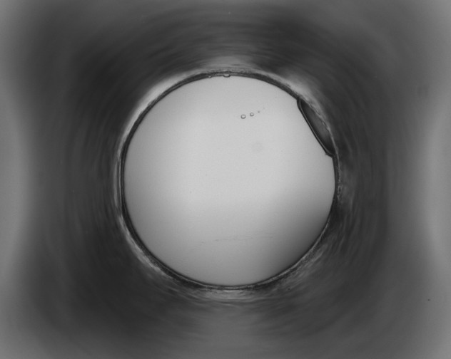 X0000083531295200703021542