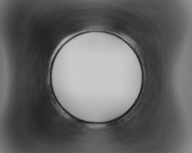 X0000083531296200703021542