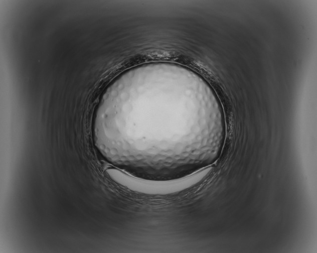 X0000083531297200703021541