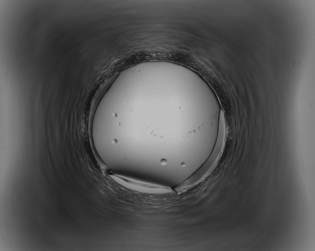 X0000083531298200703021541