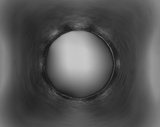 X0000083531300200703021541