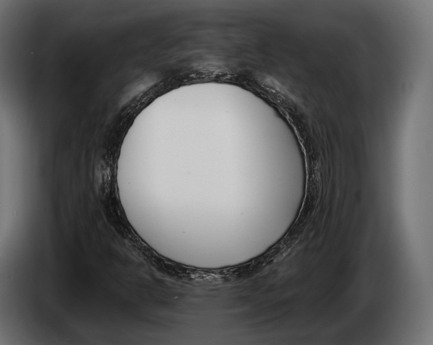 X0000083531302200703021541