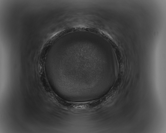 X0000083531303200703021541