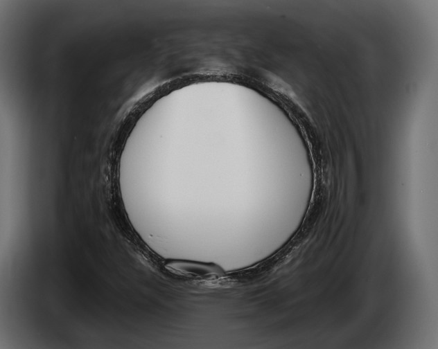 X0000083531304200703021541