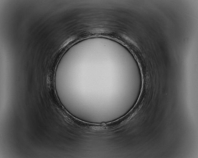 X0000083531305200703021541