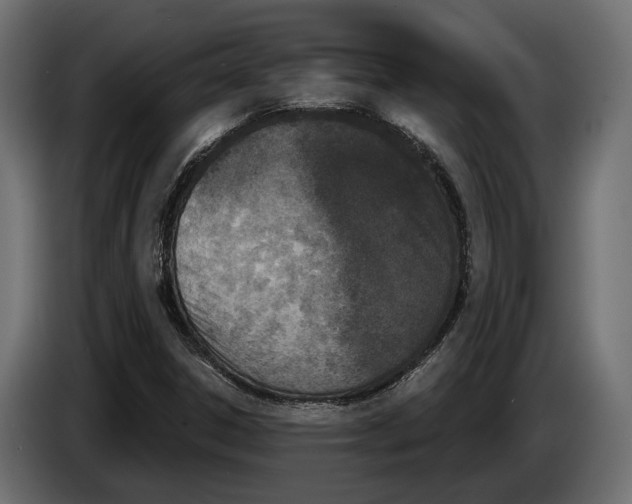 X0000083531306200703021541