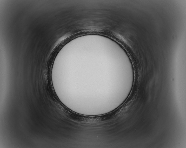 X0000083531307200703021541