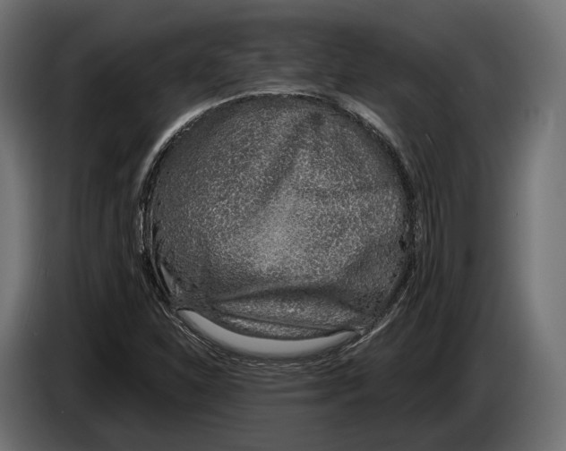 X0000083531310200703021541