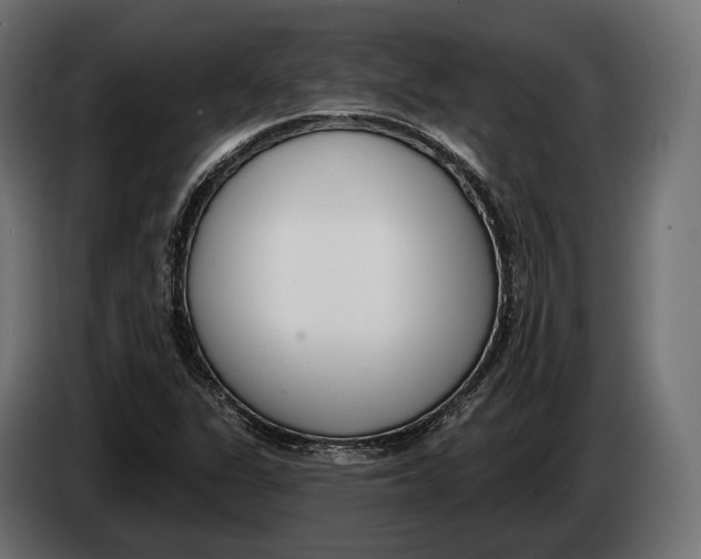 X0000083531311200703021541