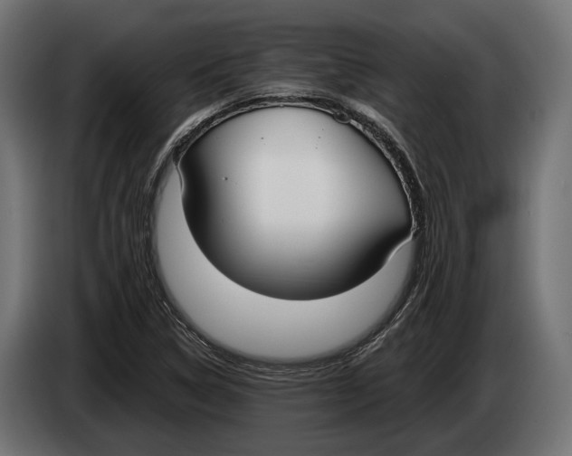 X0000083531314200703021541