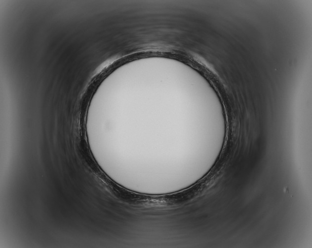 X0000083531315200703021541