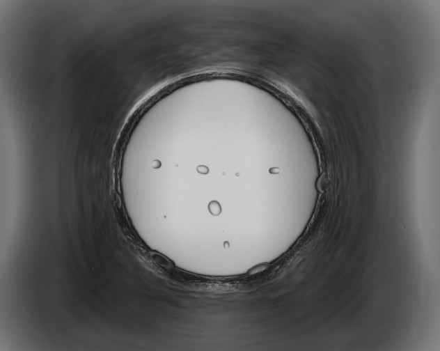 X0000083531316200703021541