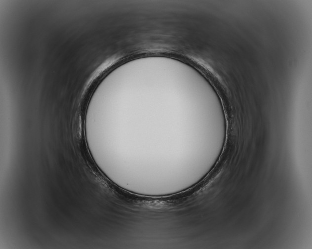 X0000083531317200703021541