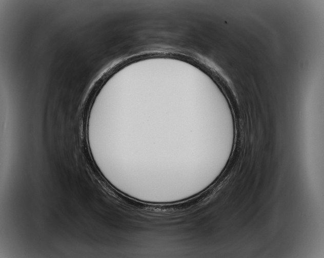 X0000083531318200703021541