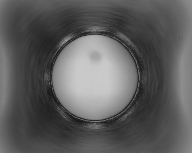 X0000083531321200703021541