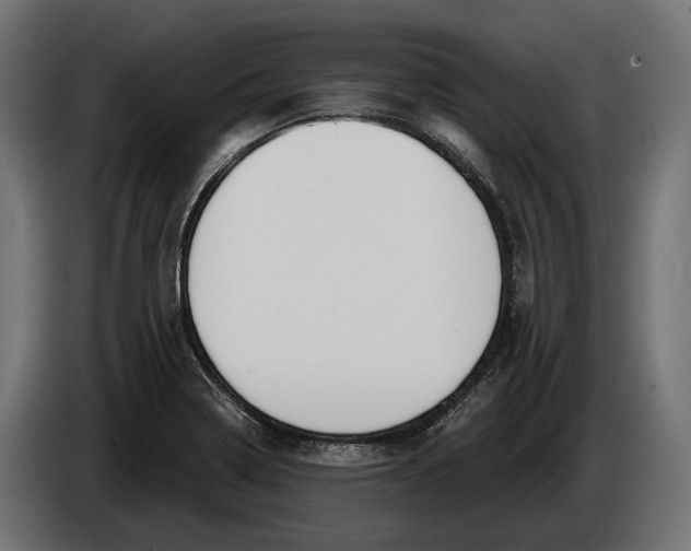 X0000083531322200703021541