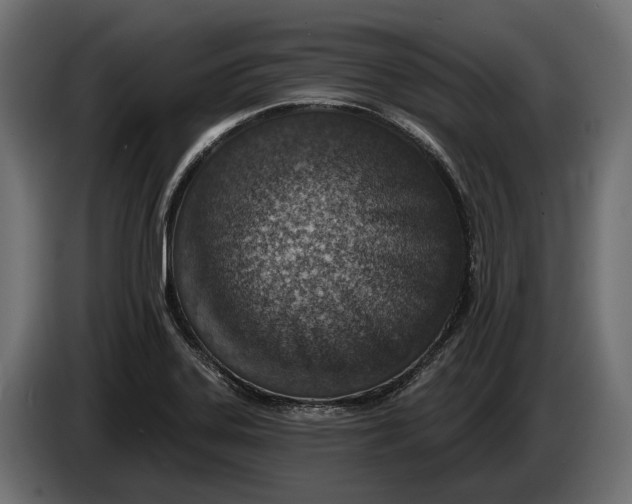 X0000083531323200703021541