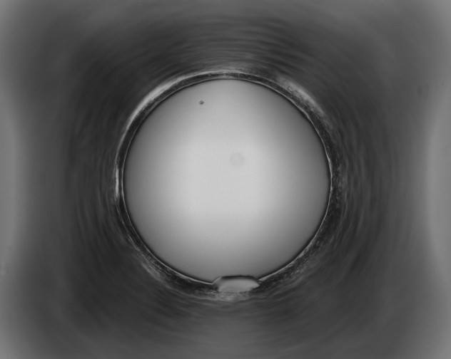 X0000083531324200703021541