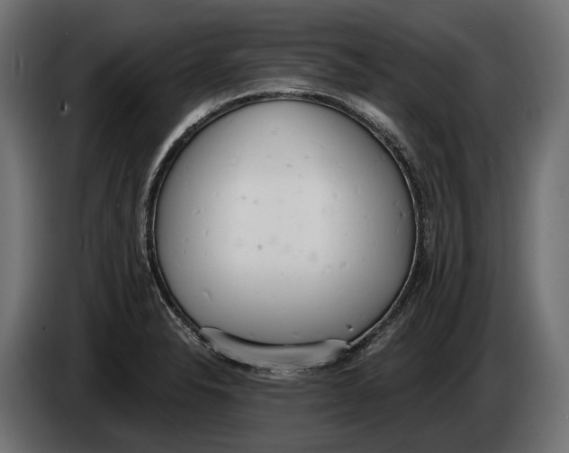 X0000083531326200703021541