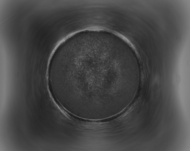 X0000083531327200703021541