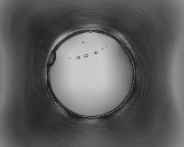 X0000083531328200703021541