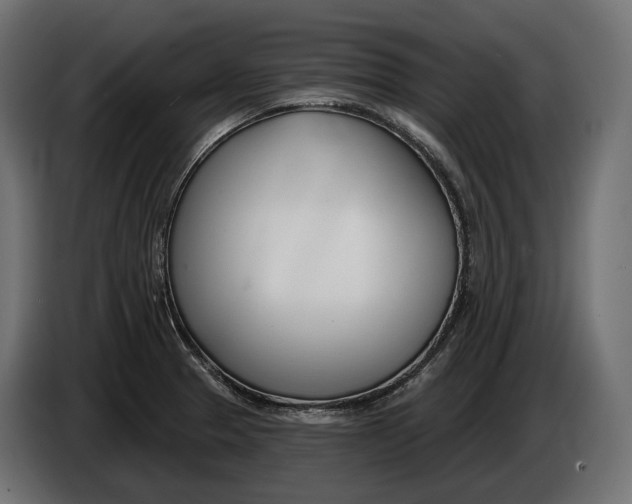 X0000083531329200703021541