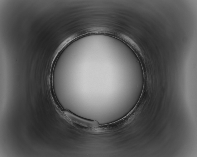 X0000083531330200703021541