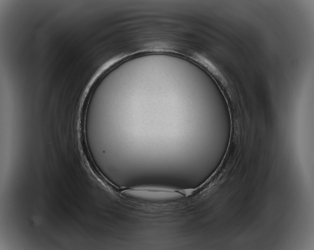 X0000083531331200703021542