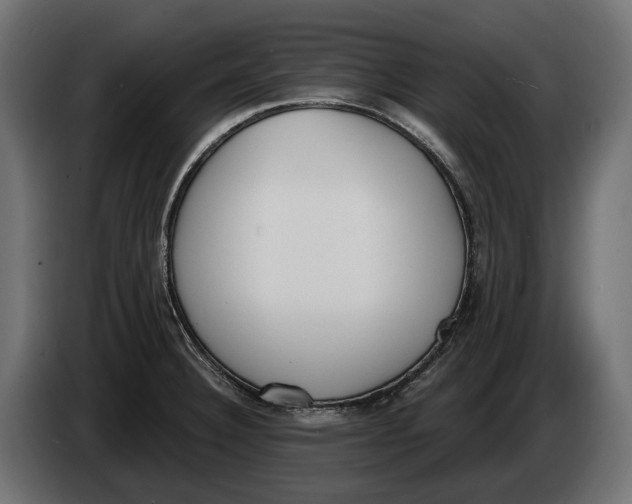 X0000083531332200703021542