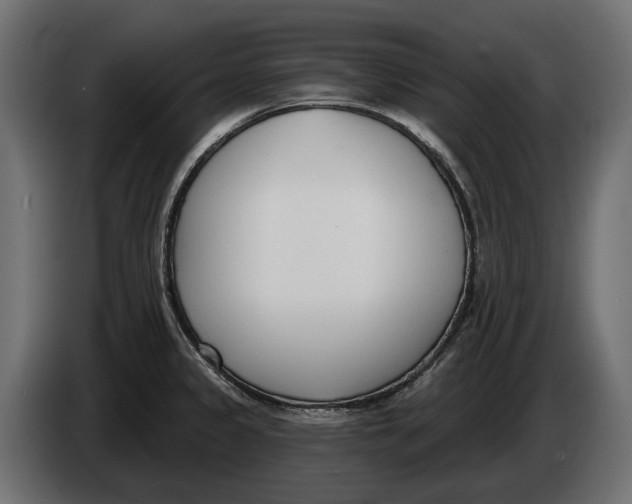 X0000083531333200703021542