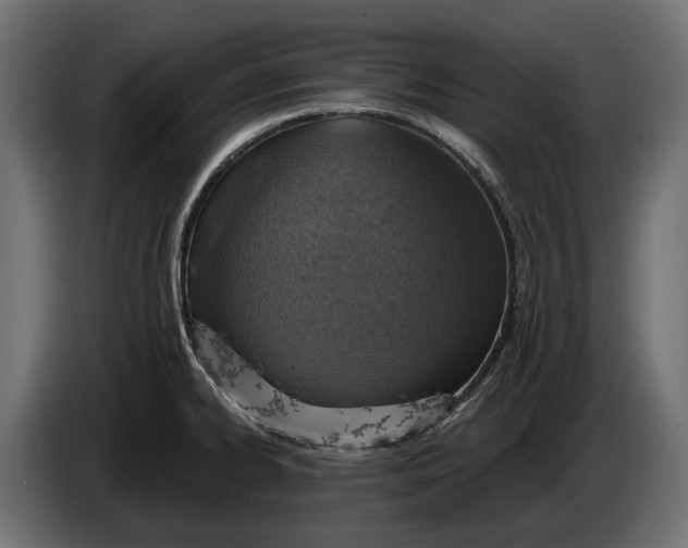 X0000083531334200703021542