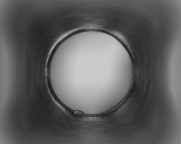 X0000083531335200703021542