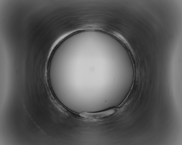 X0000083531336200703021542