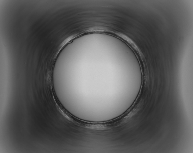 X0000083531337200703021542