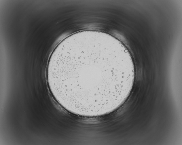 X0000083531338200703021542